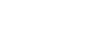 The Berg Group Logo White